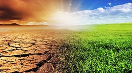 Ikona logo Rolnictwo za pan brat z naturą