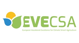 Ikona logo ERASMUS+ EVECSA